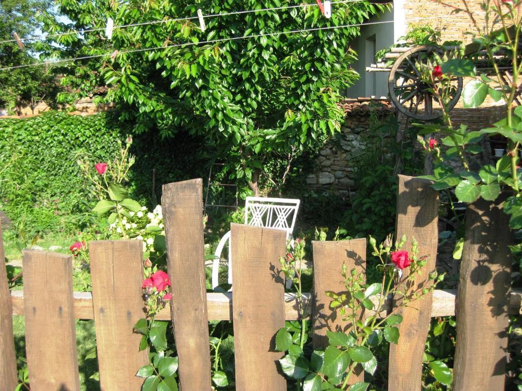 Chardaka Guest House คาโลเฟอร์ ภายนอก รูปภาพ